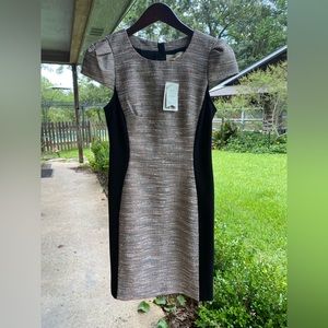 Anthropologie Dress size 4 NWT